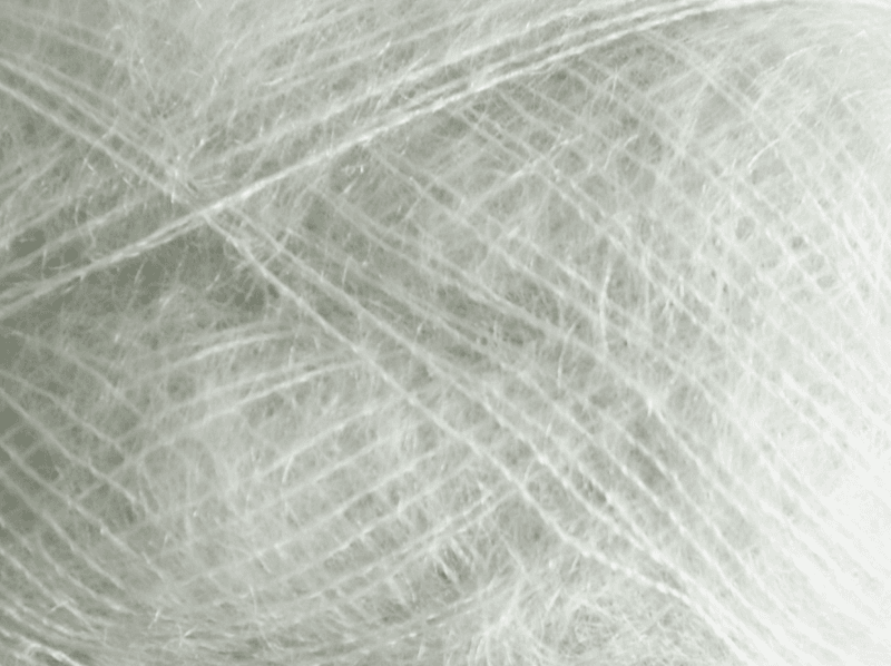 Tilia
